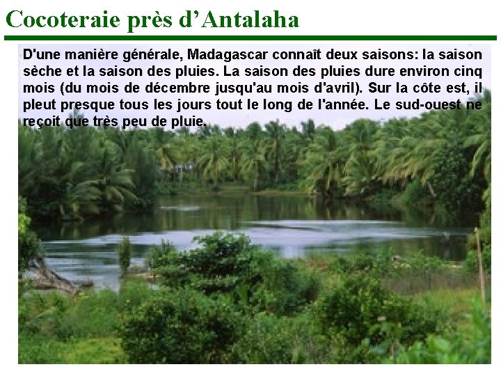 Cocoteraie près d’Antalaha D'une manière générale, Madagascar connaît deux saisons: la saison sèche et