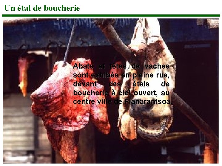 Un étal de boucherie Abats et têtes de vaches sont exhibés en pleine rue,