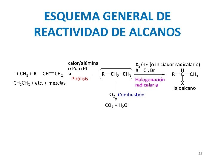 ESQUEMA GENERAL DE REACTIVIDAD DE ALCANOS 28 ESQUEMA GENERAL DE REACTIVIDAD DE ALCANOS 28