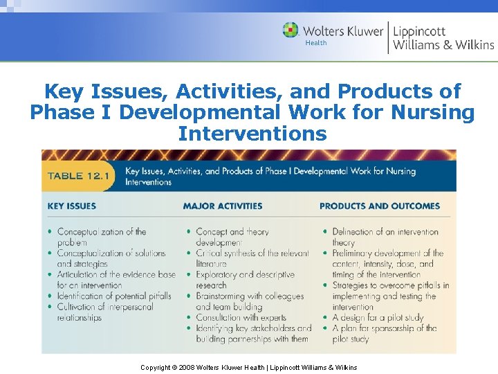 Key Issues, Activities, and Products of Phase I Developmental Work for Nursing Interventions Copyright