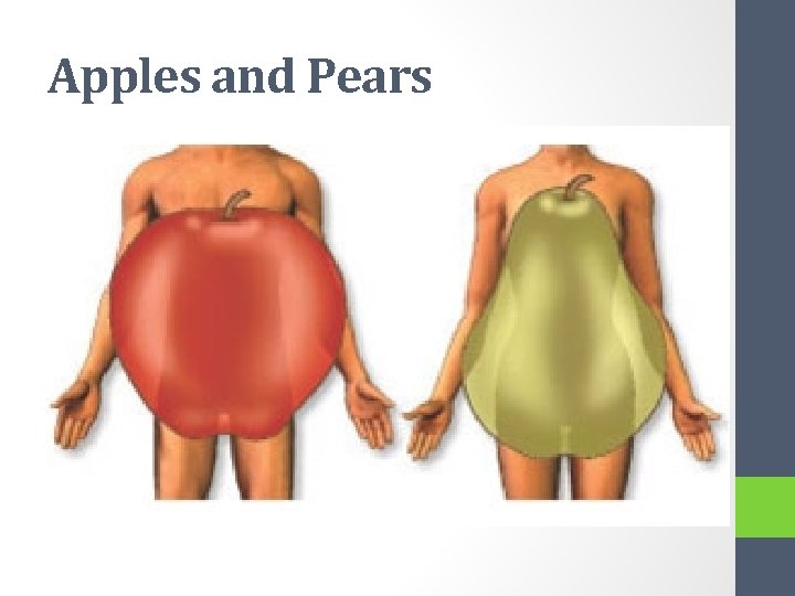 Apples and Pears 