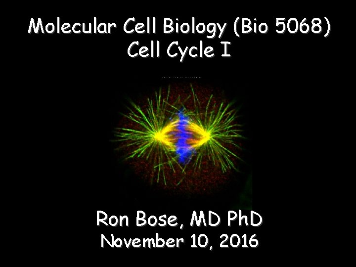 Molecular Cell Biology (Bio 5068) Cell Cycle I Ron Bose, MD Ph. D November