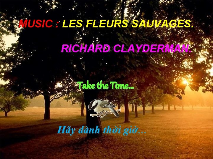 MUSIC : LES FLEURS SAUVAGES. RICHARD CLAYDERMAN. Take the Time… Time Hãy dành thời