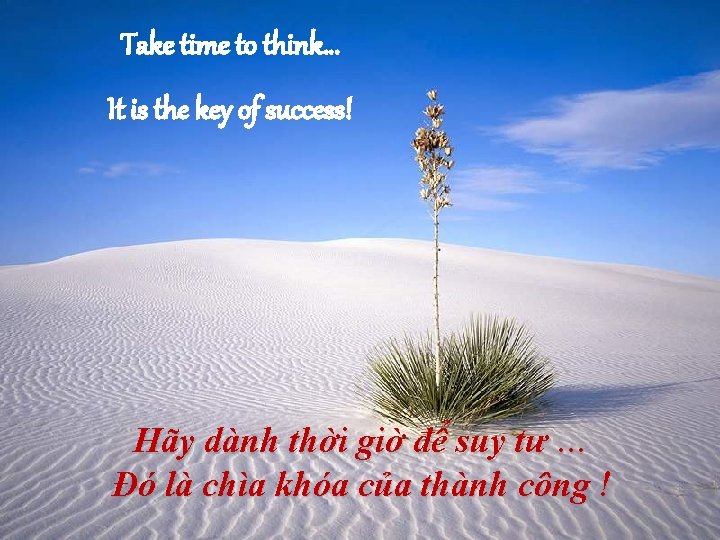 Take time to think… It is the key of success! Hãy dành thời giờ