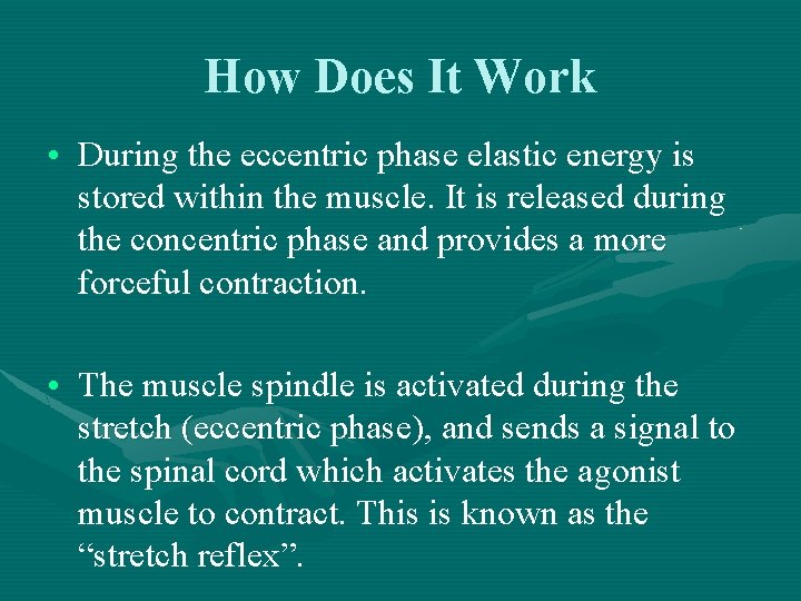 How Does It Work • During the eccentric phase elastic energy is stored within