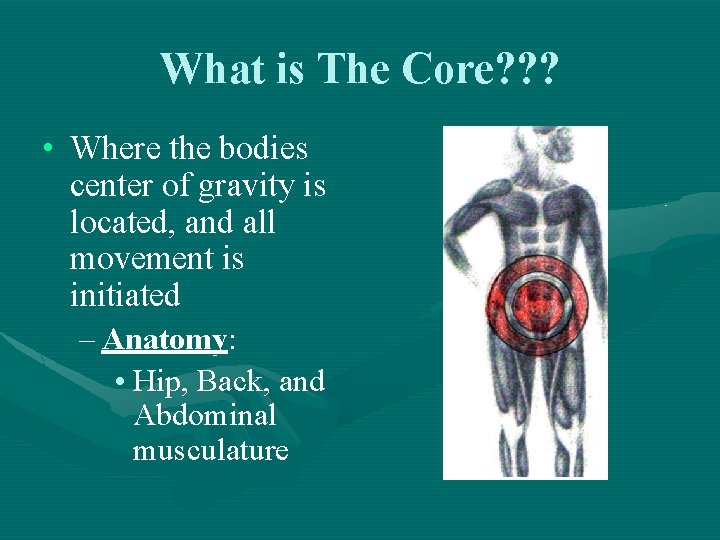 What is The Core? ? ? • Where the bodies center of gravity is