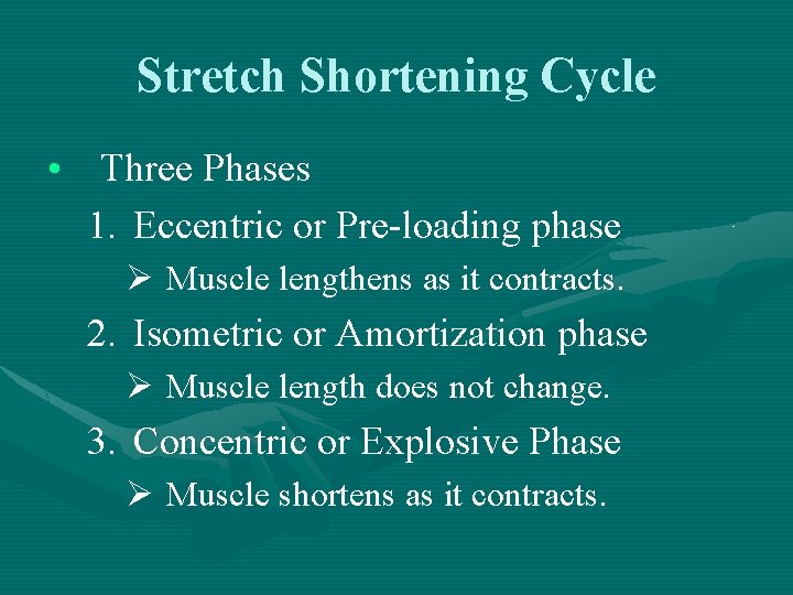Stretch Shortening Cycle • Three Phases 1. Eccentric or Pre-loading phase Ø Muscle lengthens