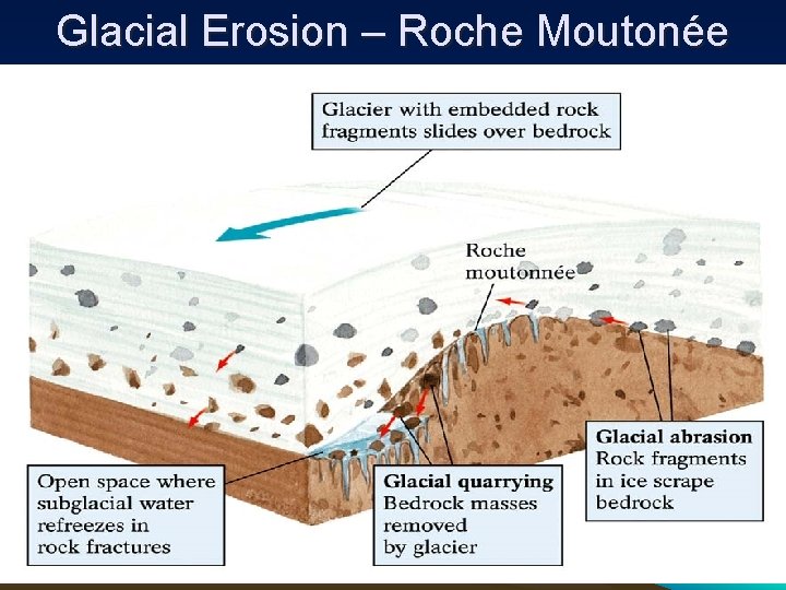 Glacial Erosion – Roche Moutonée 