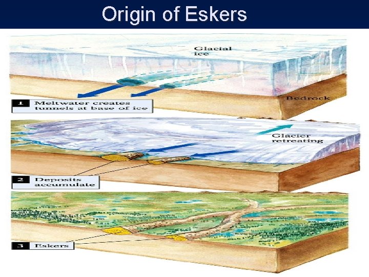 Origin of Eskers 