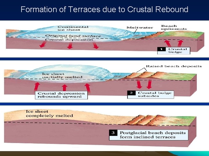 Formation of Terraces due to Crustal Rebound 