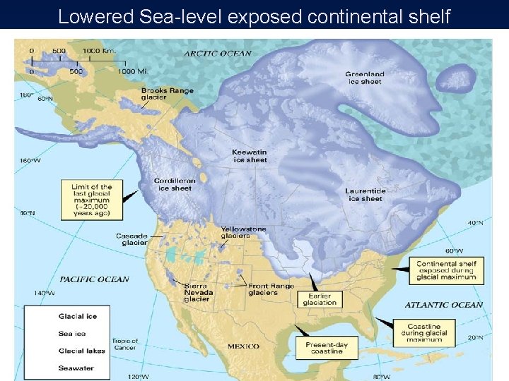 Lowered Sea-level exposed continental shelf 