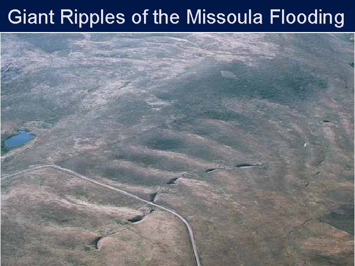 Giant Ripples of the Missoula Flooding 