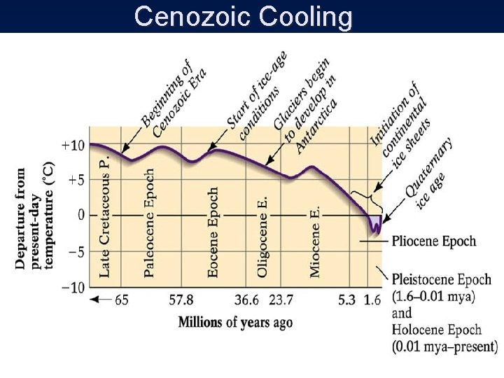 Cenozoic Cooling 