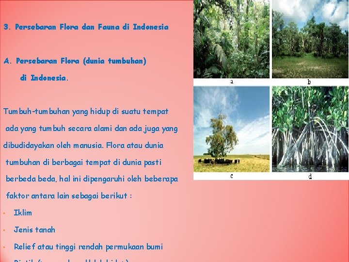 3. Persebaran Flora dan Fauna di Indonesia A. Persebaran Flora (dunia tumbuhan) di Indonesia.