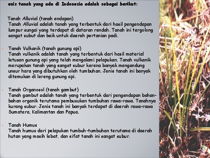 enis tanah yang ada di Indonesia adalah sebagai berikut: Tanah Alluvial (tanah endapan) Tanah