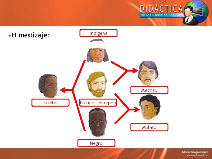  • El mestizaje: Indígena Mestizo Zambo Blanco - Europeo Mulato Negro 