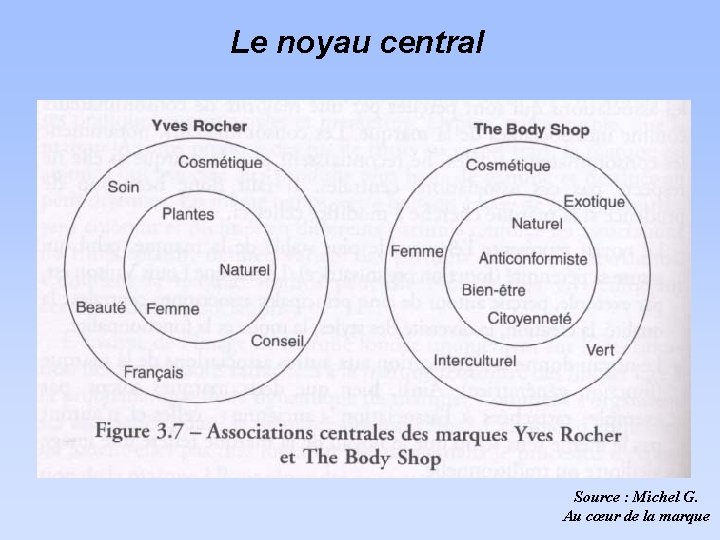 Le noyau central Source : Michel G. Au cœur de la marque 