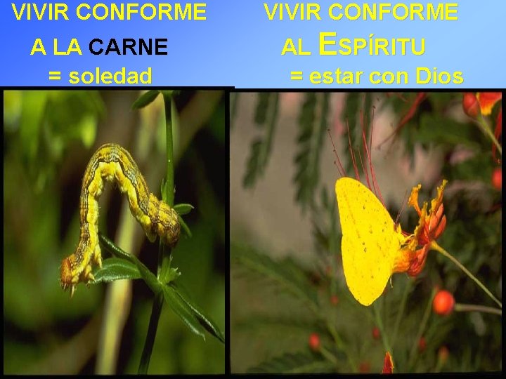 VIVIR CONFORME A LA CARNE = soledad VIVIR CONFORME AL ESPÍRITU = estar con