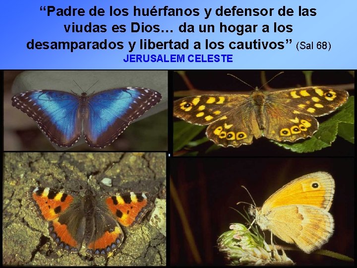 “Padre de los huérfanos y defensor de las viudas es Dios… da un hogar