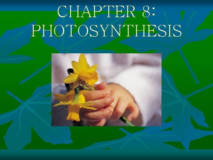 CHAPTER 8 PHOTOSYNTHESIS 8 1 Energy of Life