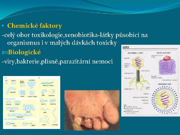  • Chemické faktory -celý obor toxikologie, xenobiotika-látky působící na organismus i v malých