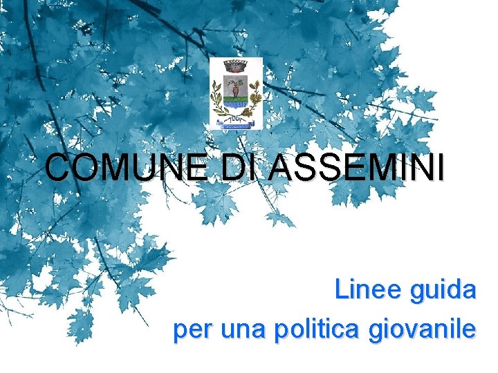 COMUNE DI ASSEMINI Linee guida per una politica giovanile 