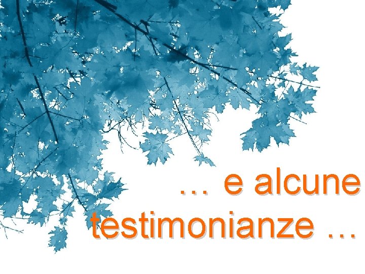 … e alcune testimonianze … 