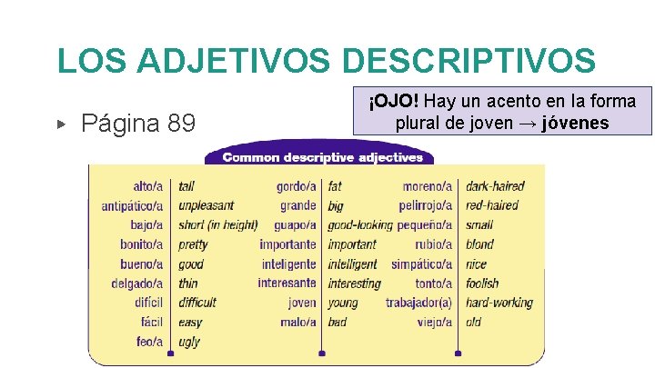 LOS ADJETIVOS DESCRIPTIVOS ▶ Página 89 ¡OJO! Hay un acento en la forma plural