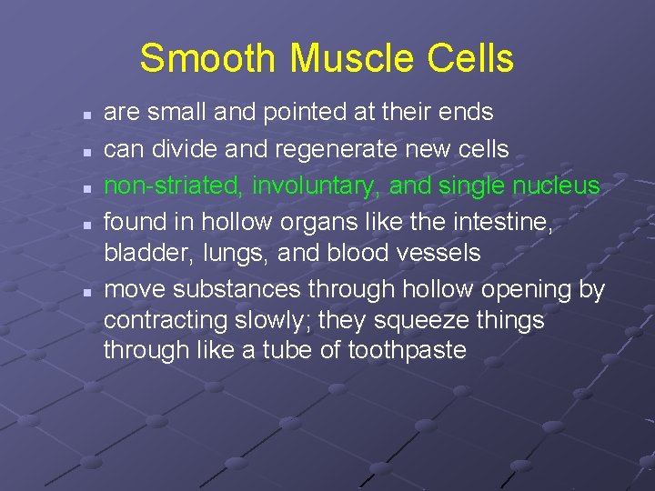 Smooth Muscle Cells n n n are small and pointed at their ends can