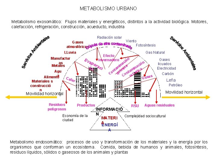 METABOLISMO URBANO Metabolismo exosomático: Flujos materiales y energéticos, distintos a la actividad biológica. Motores,