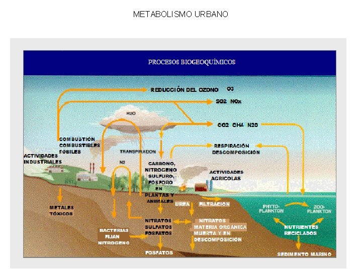 METABOLISMO URBANO 