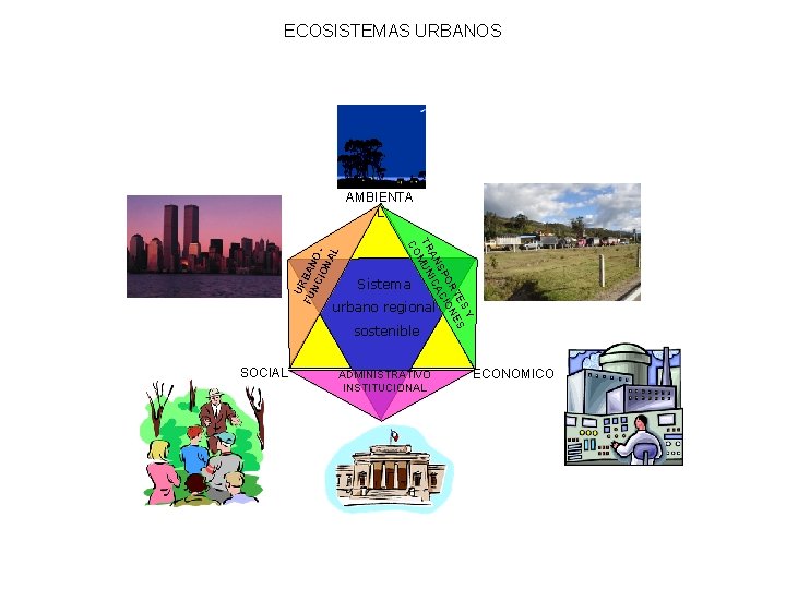 ECOSISTEMAS URBANOS SY TE ES OR ION SP AC AN IC TR MUN CO