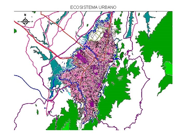 ECOSISTEMA URBANO 