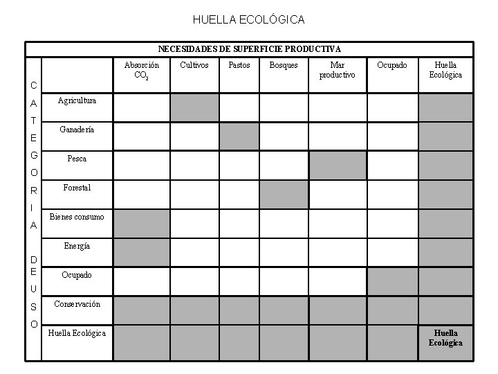 HUELLA ECOLÓGICA NECESIDADES DE SUPERFICIE PRODUCTIVA Absorción CO 2 C A T E G