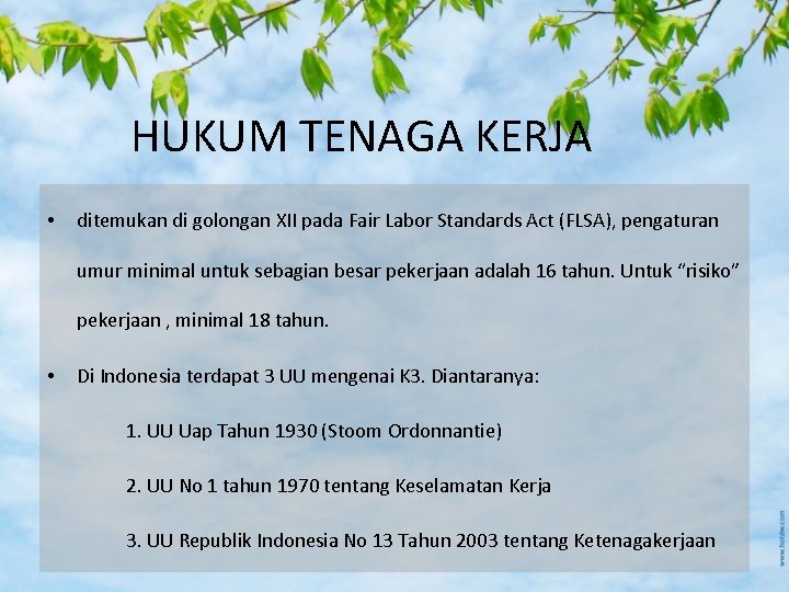 HUKUM TENAGA KERJA • ditemukan di golongan XII pada Fair Labor Standards Act (FLSA),