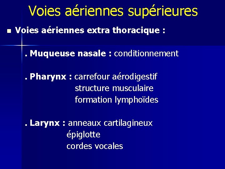 Voies aériennes supérieures n Voies aériennes extra thoracique : . Muqueuse nasale : conditionnement