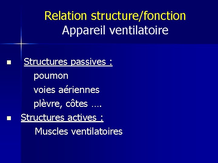 Relation structure/fonction Appareil ventilatoire Structures passives : poumon voies aériennes plèvre, côtes …. n