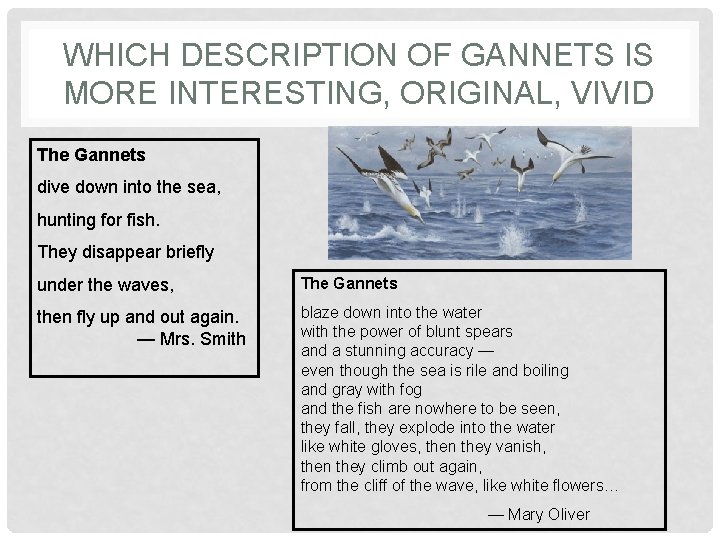 WHICH DESCRIPTION OF GANNETS IS MORE INTERESTING, ORIGINAL, VIVID The Gannets dive down into