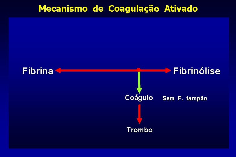 Mecanismo de Coagulação Ativado Fibrina Fibrinólise Coágulo Trombo Sem F. tampão 