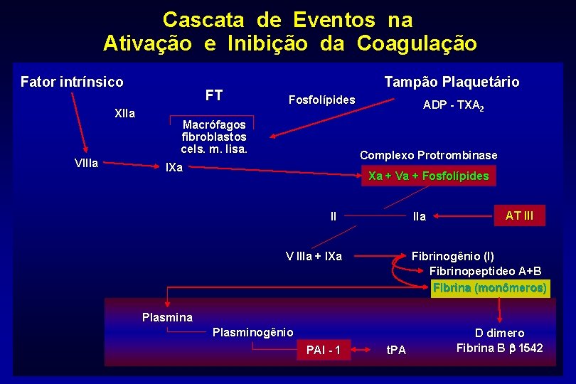 Cascata de Eventos na Ativação e Inibição da Coagulação Fator intrínsico XIIa VIIIa FT