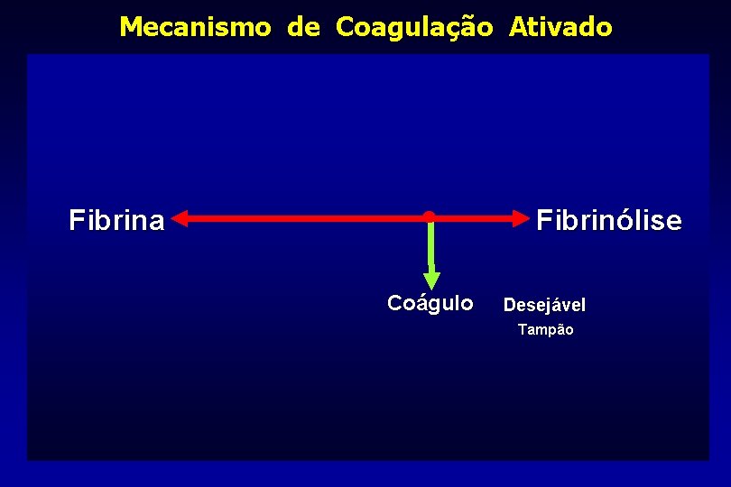 Mecanismo de Coagulação Ativado Fibrina Fibrinólise Coágulo Desejável Tampão 