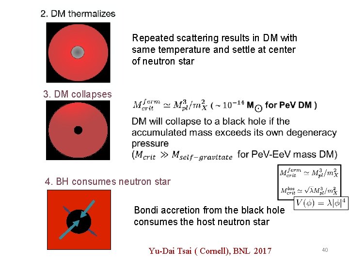 Repeated scattering results in DM with same temperature and settle at center of neutron