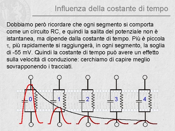 Influenza della costante di tempo Dobbiamo però ricordare che ogni segmento si comporta come