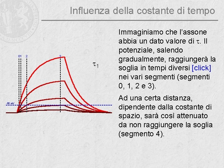 Influenza della costante di tempo 01 2 3 t 1 -55 m. V Immaginiamo