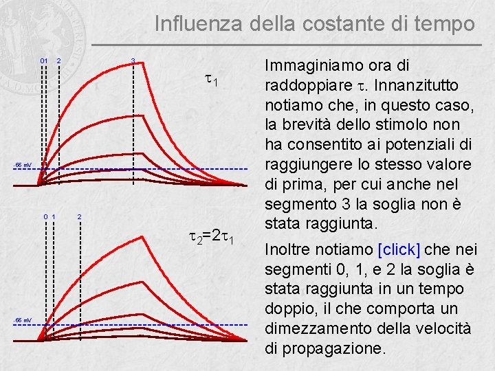 Influenza della costante di tempo 01 2 3 t 1 -55 m. V 0