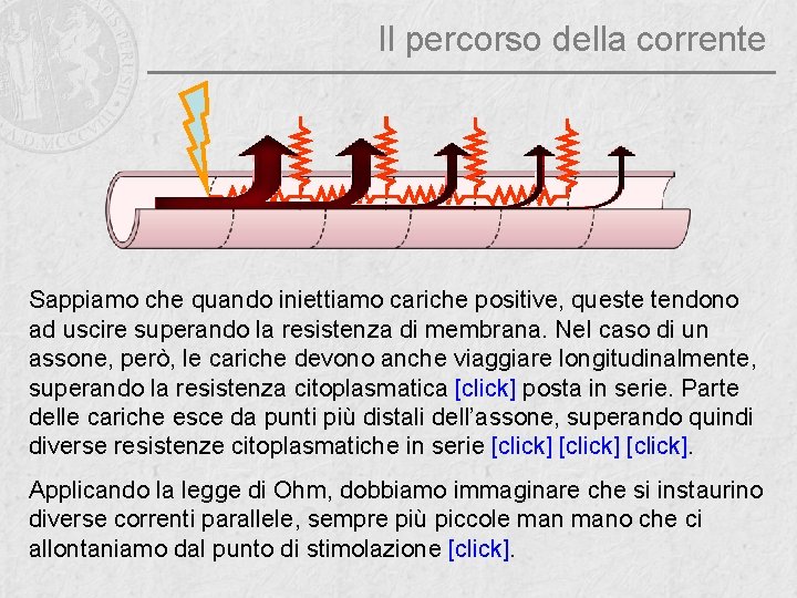 Il percorso della corrente Sappiamo che quando iniettiamo cariche positive, queste tendono ad uscire
