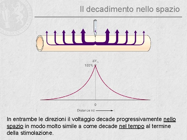 Il decadimento nello spazio In entrambe le direzioni il voltaggio decade progressivamente nello spazio