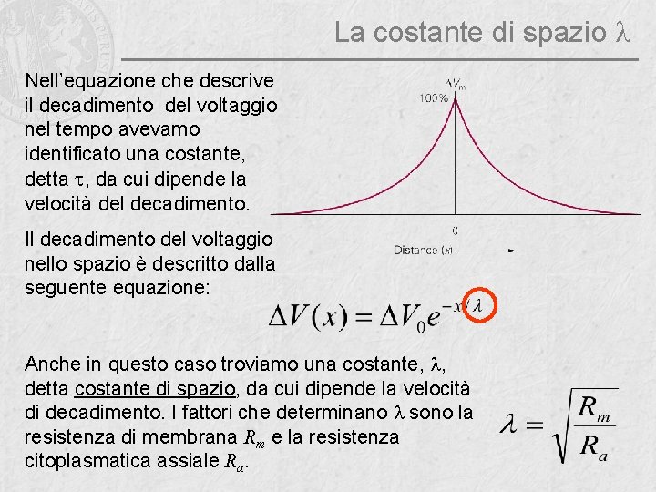 La costante di spazio l Nell’equazione che descrive il decadimento del voltaggio nel tempo