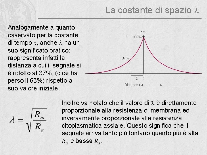 La costante di spazio l Analogamente a quanto osservato per la costante di tempo
