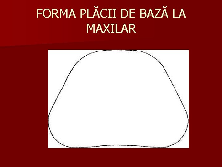 FORMA PLĂCII DE BAZĂ LA MAXILAR 